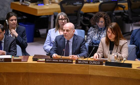 联合国秘书长叙利亚事务副特使克劳迪奥·科尔多内（左）向安理会会议通报叙利亚局势。